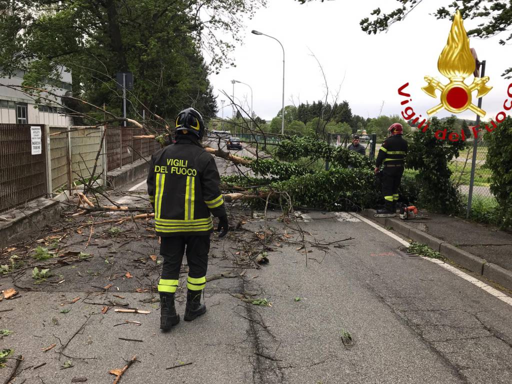 Immagine di copertina di: Emergenza clima, Barone (Federdistat Cisal): “Servono provvedimenti straordinari”